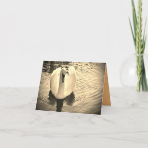 Schwan in Sepia-Karte Dankeskarte