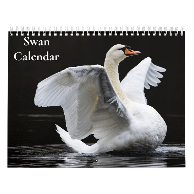 Schwan-Kalender 2027 Kalender (Titelbild)