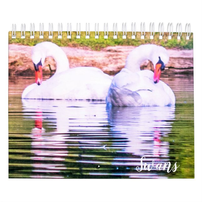 Schwan-Kalender Kalender (Titelbild)