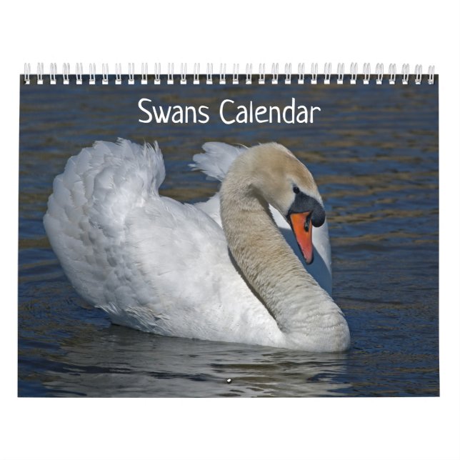 Schwan-Kalender Kalender (Titelbild)