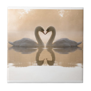 Schwan-Liebe Fliese