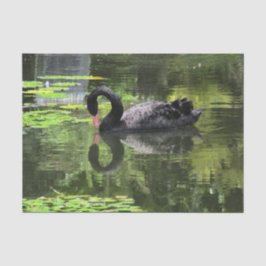 Schwan-Liebe Seidenpapier