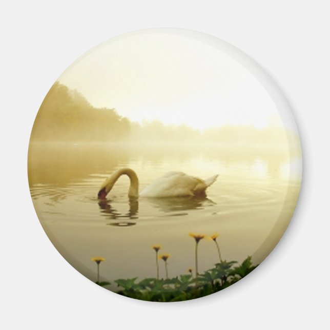 Schwan Magnet (Vorne)