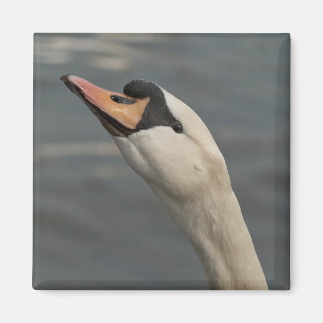 Schwan Magnet (Vorne)