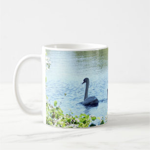 Schwan mit Cygnets auf dem Fluss Kaffeetasse
