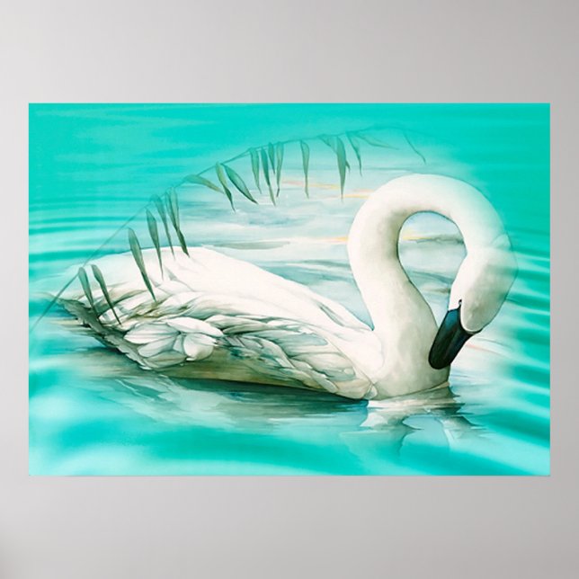 Schwan Poster (Vorne)