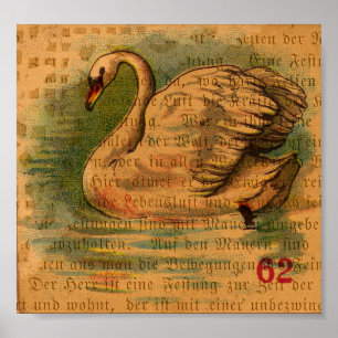 Schwan Poster