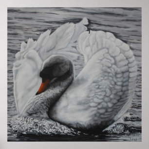 Schwan Poster