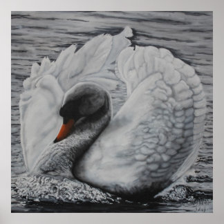 Schwan Poster