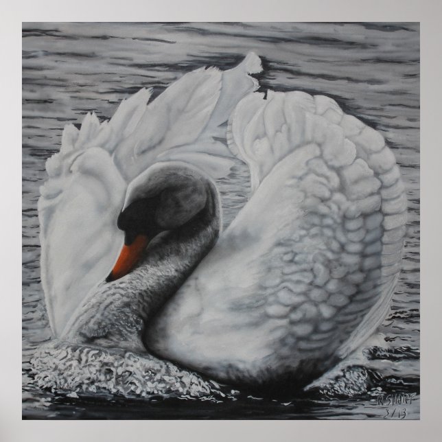 Schwan Poster (Vorne)