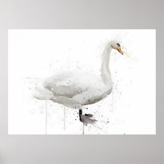 Schwan Poster