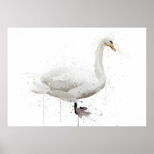 Schwan Poster (Vorne)