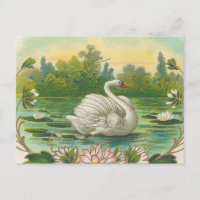 Schwan