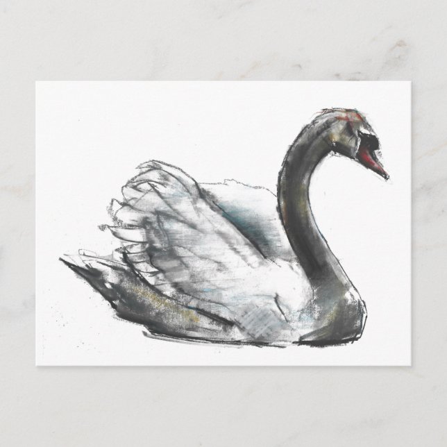Schwan Postkarte (Vorderseite)