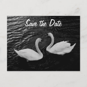 Schwan-Save the Date Postkarte