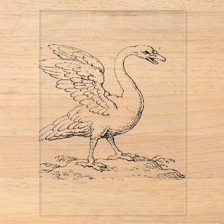 Schwan Symbol der Liebe und Treue Fine Art Acryleinladungen