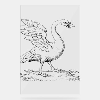 Schwan Symbol der Liebe und Treue Fine Art Acrylschild