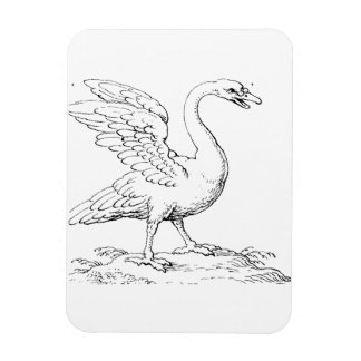 Schwan Symbol der Liebe und Treue Fine Art Magnet