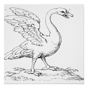 Schwan Symbol der Liebe und Treue Fine Art Poster