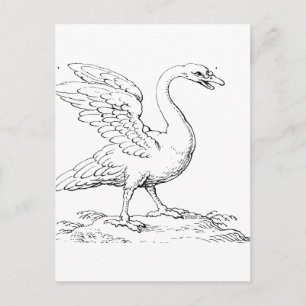 Schwan Symbol für Liebe und Treue, Kunstobjekt Postkarte