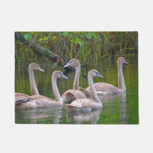 Schwan-Tür-Matte Fußmatte
