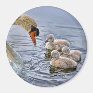 Schwan und Baby-Magnet Magnet
