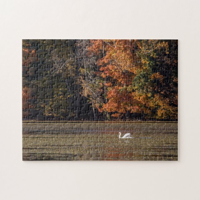 Schwan und Fall Foliage Puzzle (Horizontal)