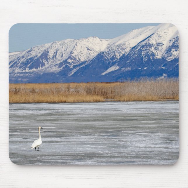 Schwan und Schnee Mousepad (Vorne)