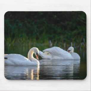 Schwan, Vogel, See Mousepad