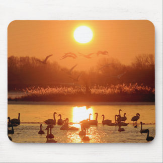 Schwäne am See bei Sonnenuntergang Mousepad