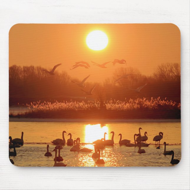 Schwäne am See bei Sonnenuntergang Mousepad (Vorne)