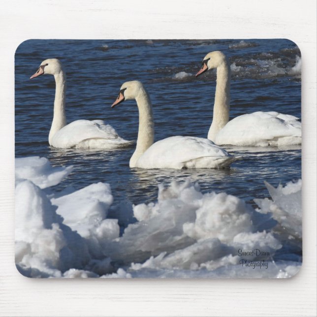 Schwäne im Icey-Fluss Mousepad (Vorne)