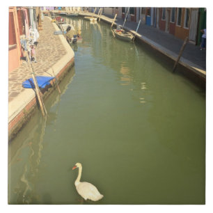 Schwäne im Kanal, Burano-Insel, Venedig, Italien Fliese