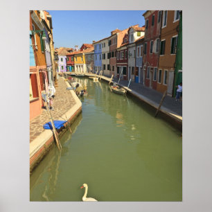 Schwäne im Kanal, Burano-Insel, Venedig, Italien Poster