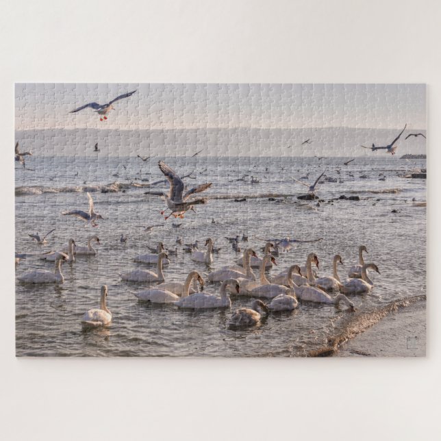 Schwäne im Schwarzmeer-Puzzle Puzzle (Horizontal)