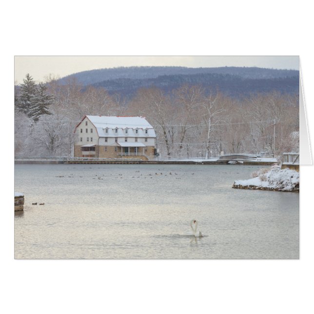 Schwäne im Teich mit Mühle und Hügeln (Vorderseite (Horizontal))