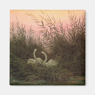 Schwäne in den Schilfen, c.1820 Magnet