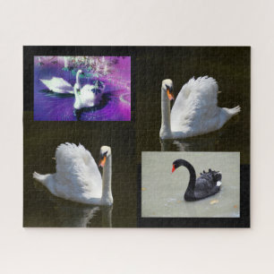 Schwäne Puzzle