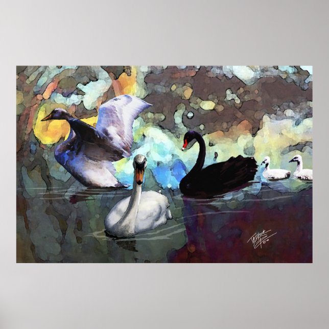 Schwäne schwimmen poster (Vorne)