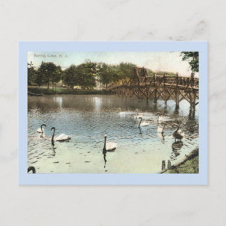 Schwäne und die Brücke, Spring Lake, NJ Vintag Postkarte