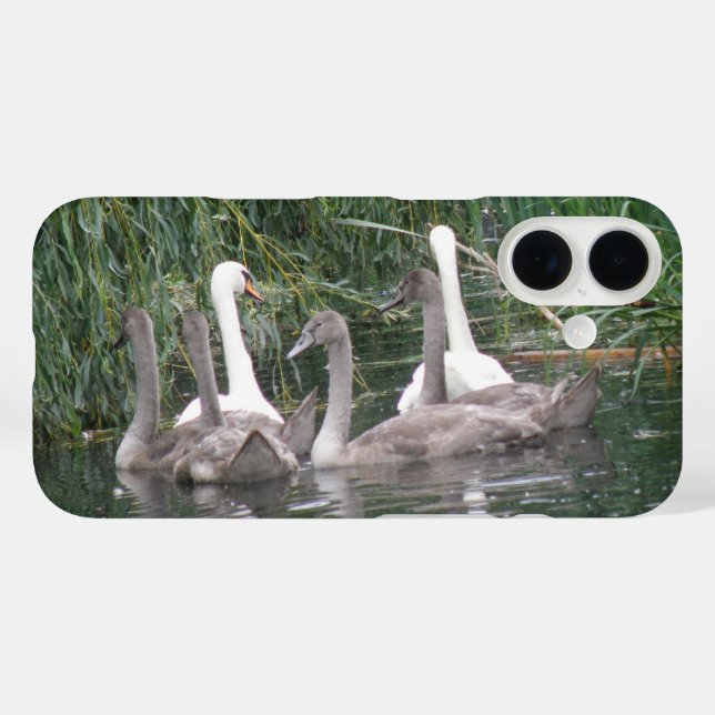 Schwäne und junge Schwäne Case-Mate iPhone Hülle (Rückseite (Horizontal))