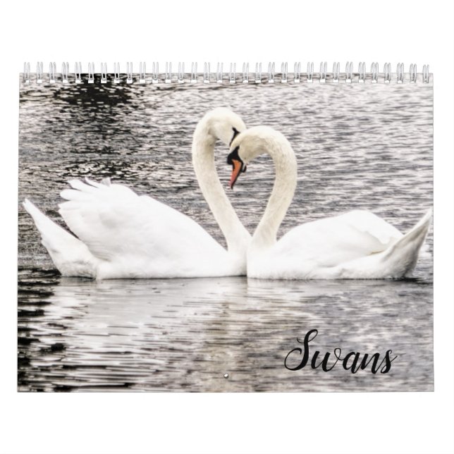 Schwäne von Spring Grove  Kalender (Titelbild)