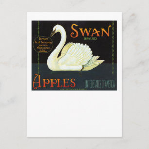 Schwanenmarken-Äpfel Postkarte
