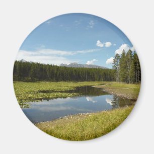 Schwanensee I im Grand Teton National Park Magnet