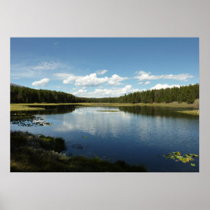 Schwanensee II im Grand Teton National Park Poster