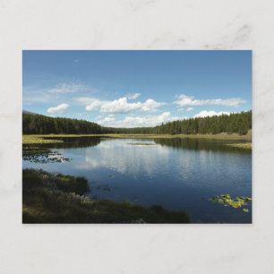 Schwanensee II im Grand Teton National Park Postkarte