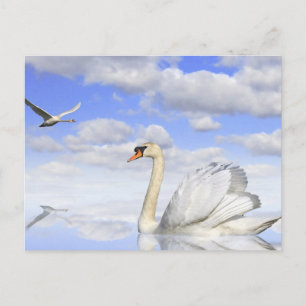 Schwanensee Postkarte