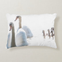 Schwanfamilie Naturfotografie