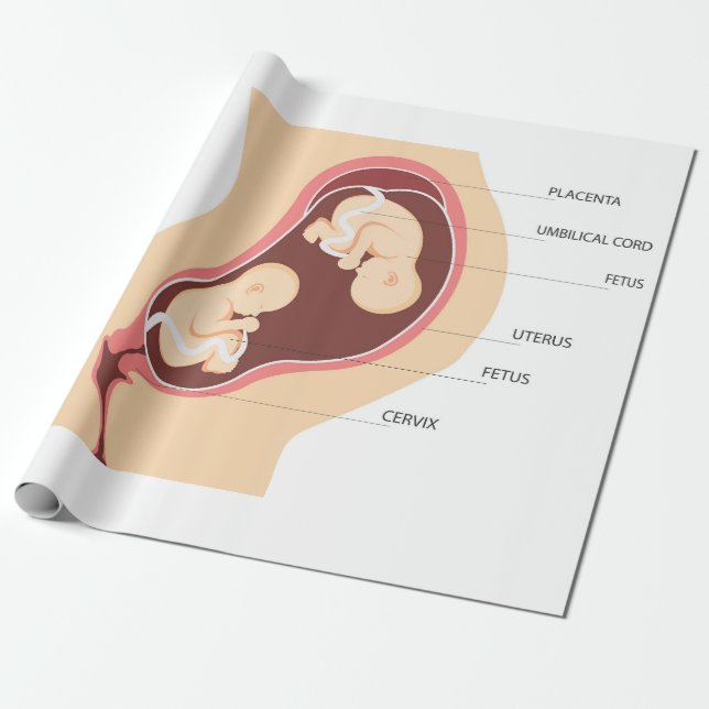 Schwangere Geschenkpapier (Ungerollt)