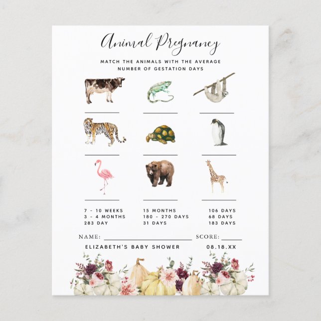 Schwangerschaft | Baby Showspiel (Vorderseite)